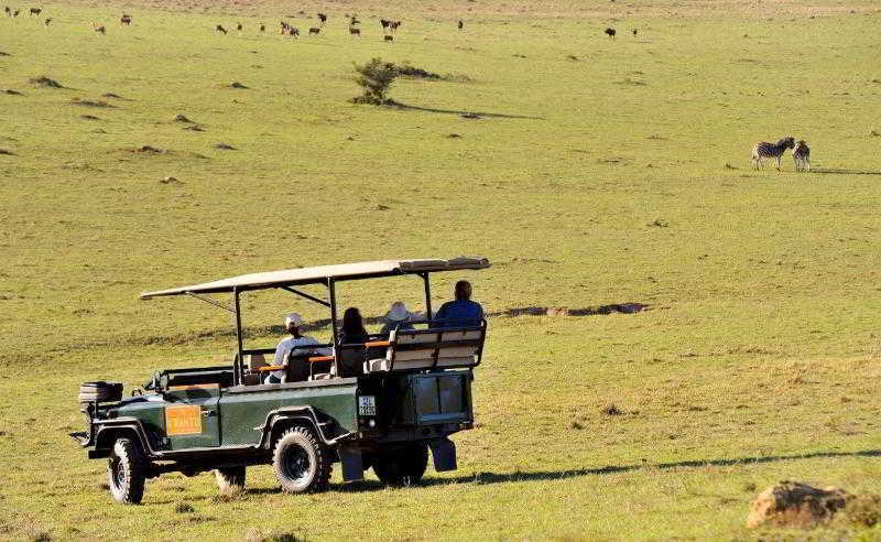 Kwantu Private Game Reserve Sidbury Экстерьер фото