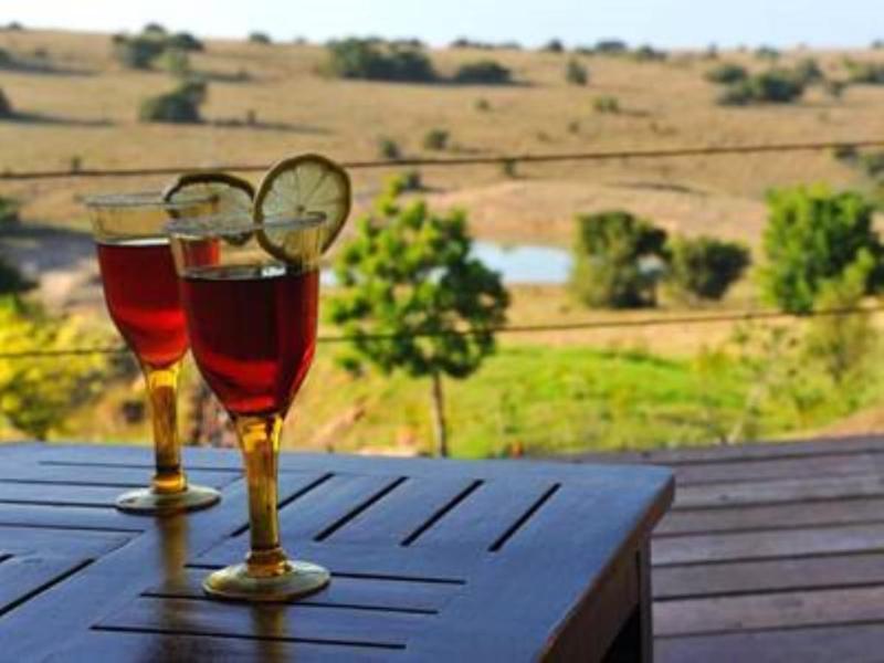 Kwantu Private Game Reserve Sidbury Экстерьер фото